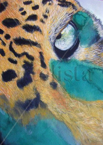 Leopards Eye Acuarela Cartulina Animales