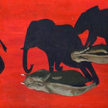 Elephants thumbnail 1