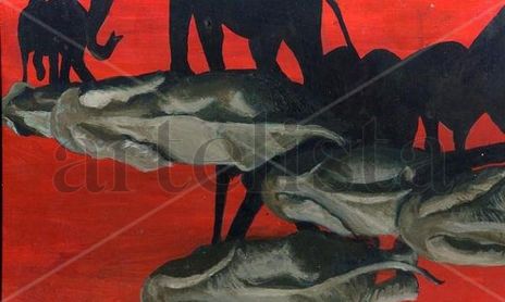 Elephants