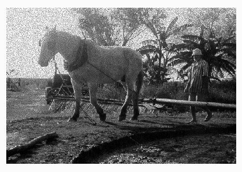 perdidos Photojournalism and Documentary Black and White (Digital)