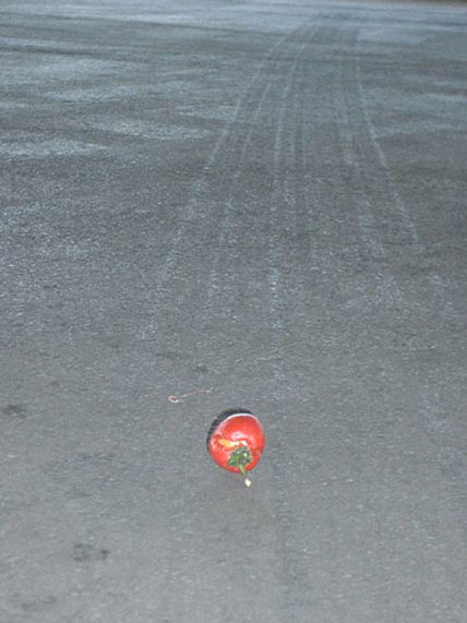 Viaggio del pomodoro