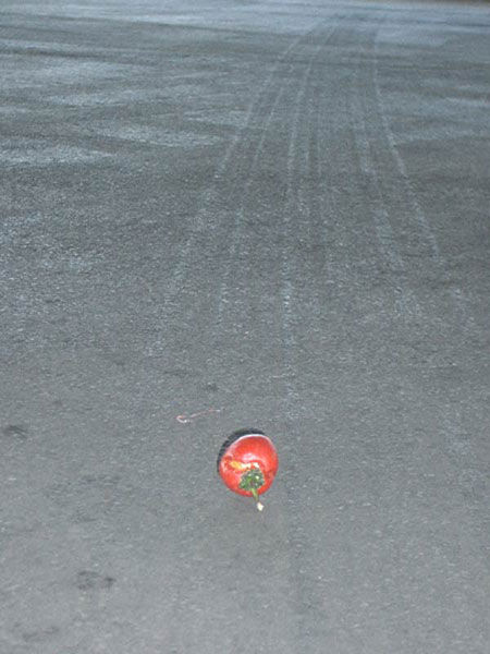 Viaggio del pomodoro