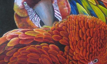 Animales