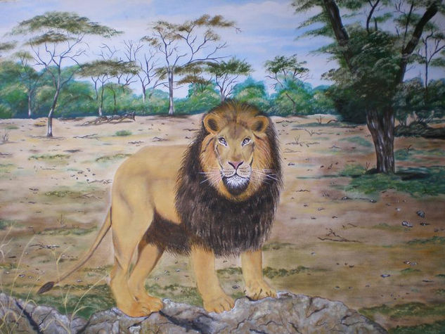 El Rey Acrylic Canvas Animals