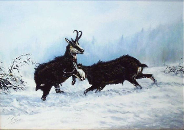 chamois du jura Oil Canvas