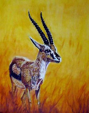 la gazelle Thomson Oil Canvas