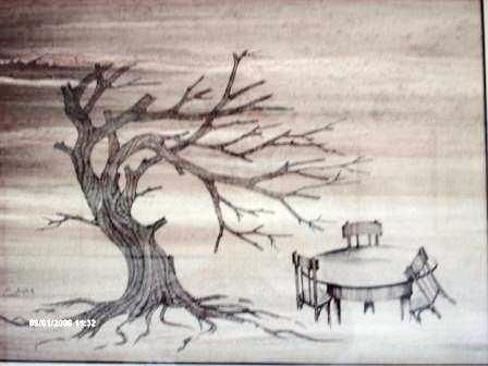 solitude