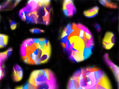 gotas