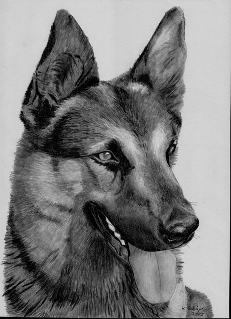 Astor