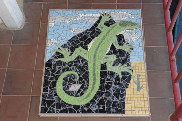 lizzard