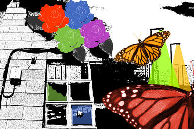flor y fauna en la ciudad