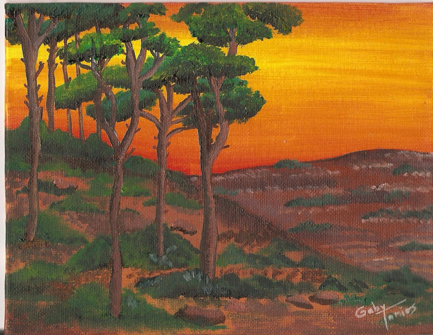 pinos