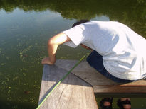 Laguna de tortugas