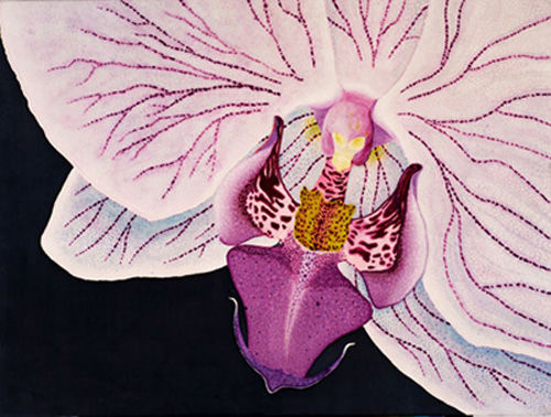 "Ciber orchid" Lu Torralba Otros Tela Floral