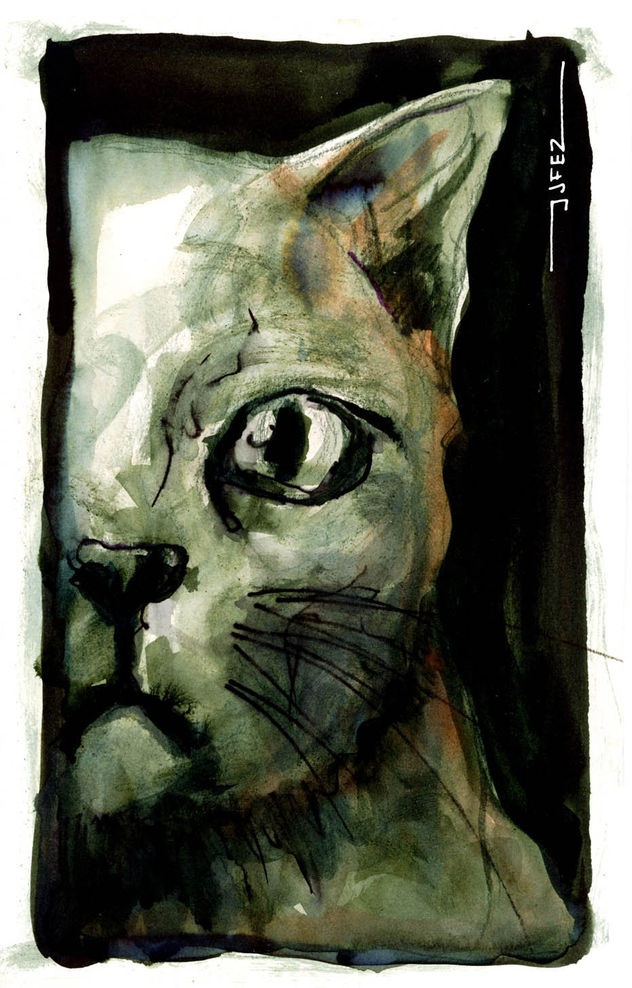el gato verde