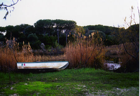 Gozzo a Cala Ginepro 