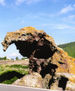 Roccia dell'Elefante