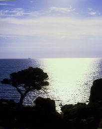 Cap de Carbonara