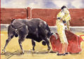 pase torero
