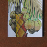 Palmas thumbnail 2