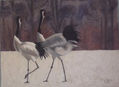 Grus japonica