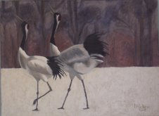 Grus japonica