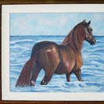 Animales thumbnail 1