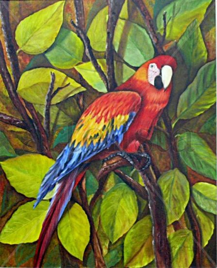 Guacamaya Colombiana Oil Canvas Animals