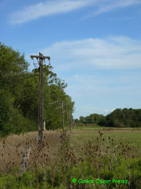 Postes de la corriente