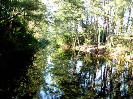 Reflection