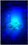 Bluish