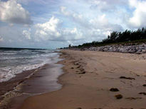 Beautiful Beach