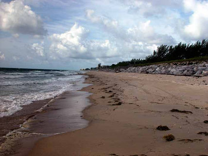 Beautiful Beach