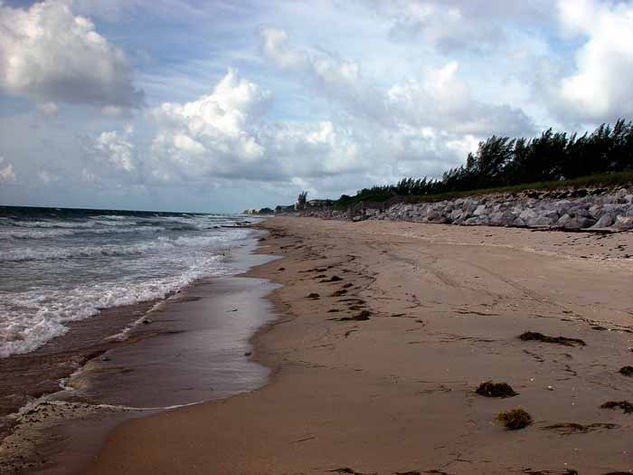 Beautiful Beach 