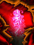 Blossom in Red