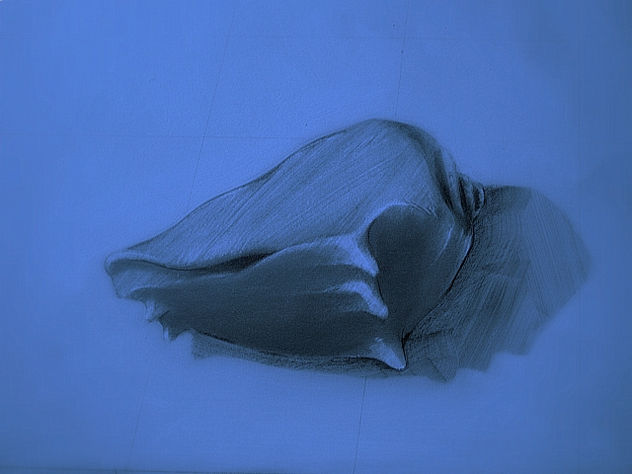 shell
