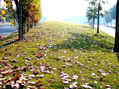 city green space