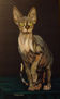 Cat24