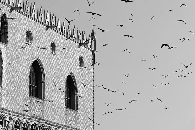 venezia palazzo ducale Otras temáticas Blanco y Negro (Digital)