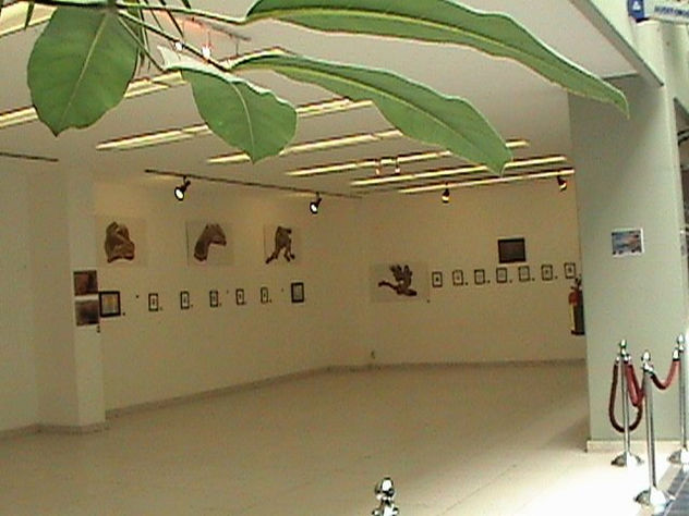 Galería en la Biblioteca.