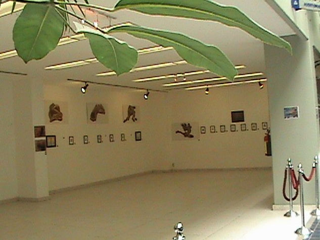 Galería en la Biblioteca. 