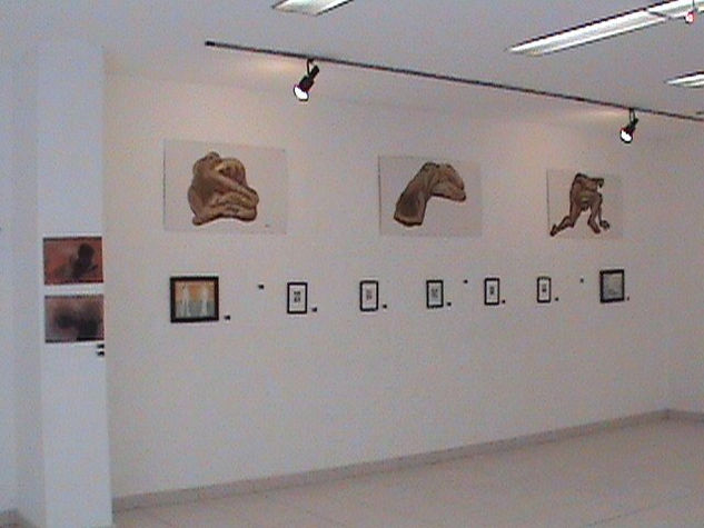 Galería la Salle 