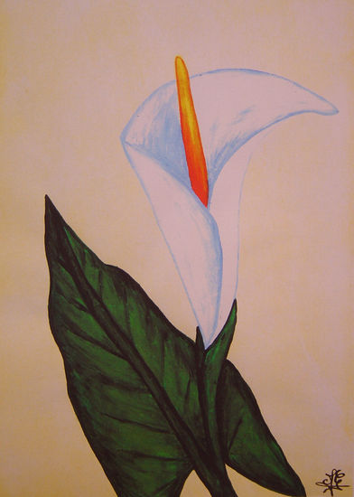 Arum Óleo Lienzo