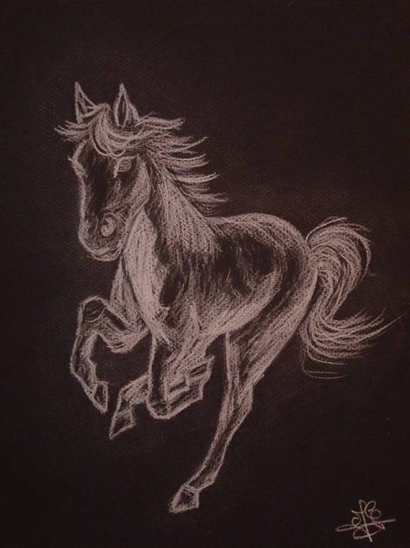 Cheval au galop
