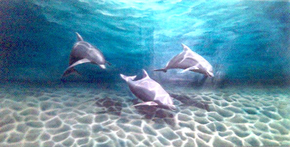 Delfines Acrílico Lienzo Animales