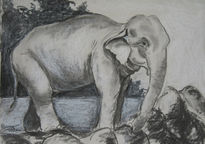 Eléphant