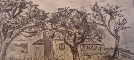 Saule d'Oingt