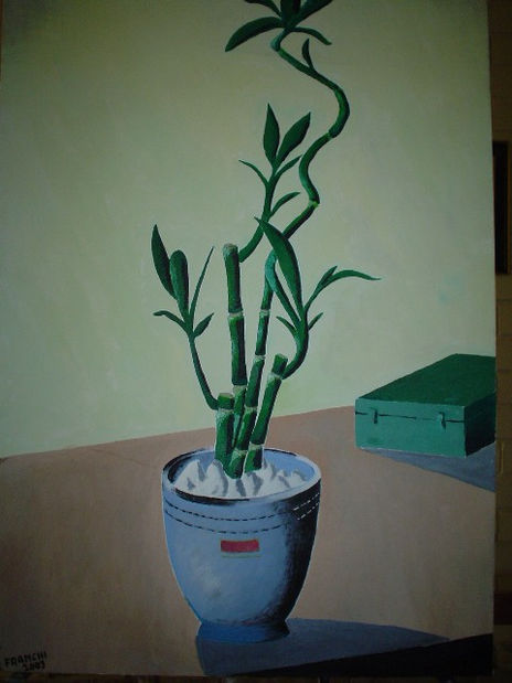 "bamboo"