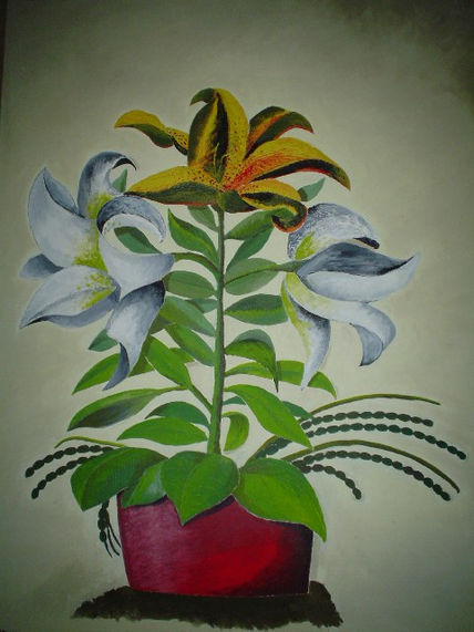 "lirios"