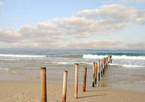 Fence in the sea